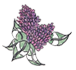 lilacs